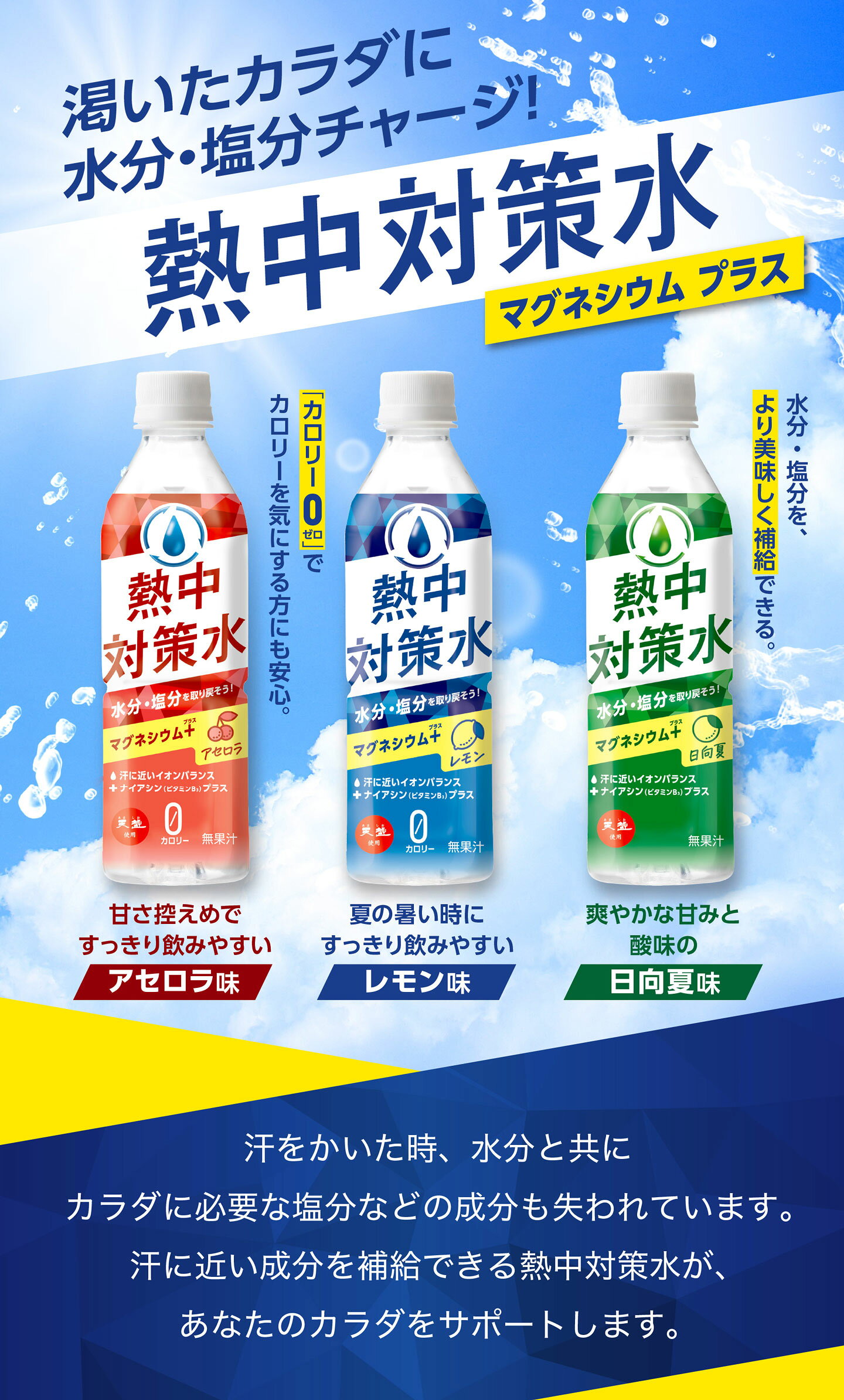【1ケース24本セット送料無料】赤穂化成 熱中対策水 レモン味 500ml×24本 [1ケース...