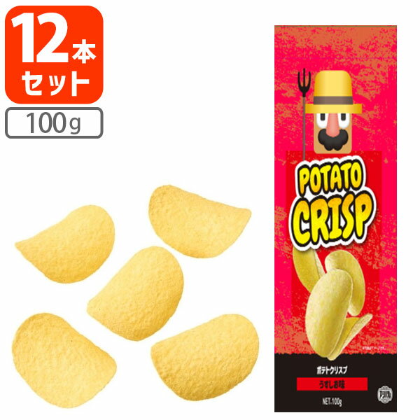【12本セット送料無料】アシストバルール ポテトクリスプ うすしお味 100g×12個※北海道・九州・沖縄県は送料無料対象外ポテトチップス ポテチ おつまみ お...