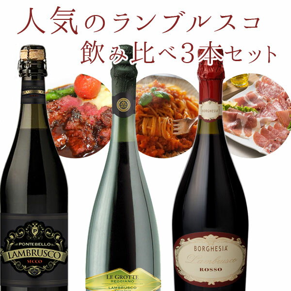 【3本セット送料無料】人気のランブルスコ飲み比べ3本セット （750ml×3本）＜ワインセット＞※北海道・九州・沖縄県は送料無料対象外スパークリングワイン ワインセット