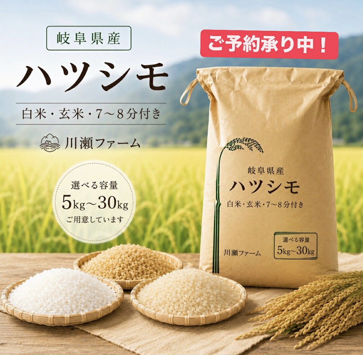 楽天市場】岐阜県 ハツシモ 30kgの通販