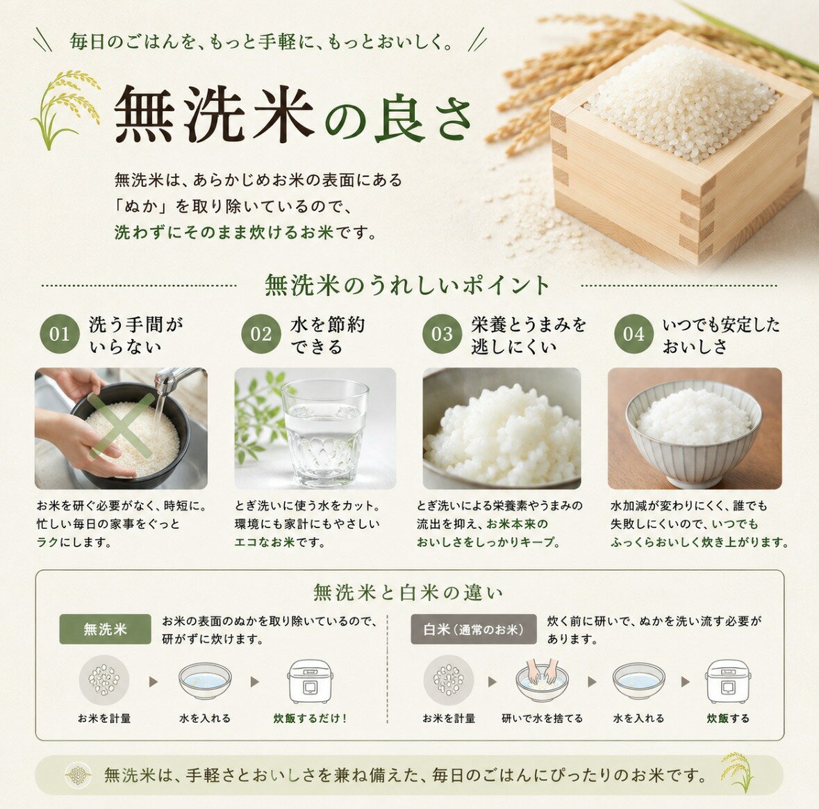送料無料 令和7年産岐阜県産ハツシモ無洗米10キロ｜自家栽培×精米したて｜粒が大きく甘み広がる毎日食べたいお米 ｜忙しい毎日にうれしい時短ごはん kawasefarm-10000010 川瀬ファーム サンプル画像2
