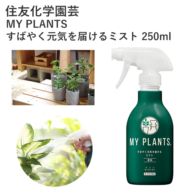 住友化学園芸 MY PLANTS すばやく元気を届けるミスト 250ml 肥料 追肥 ミスト 葉面散布 多肉植物 土壌改良材 園芸 園芸用品 農業資材 農業用品 観葉植物 花 緑 液剤 スプレー