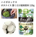 ハイポネックス ボタナイス 置くだけ錠剤肥料 120g 肥料 置くだけ 錠剤 タブレット 簡単 1ヶ月 葉色鮮やか 観葉植物 多肉植物 園芸 ガーデニング 植物元気 園芸用品 農業資材 農業用品 ガーデニング用品 ガーデン