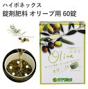 ハイポネックス 錠剤肥料 オリーブ用 60錠 肥料 置肥 オリーブ タブレット 簡単 錠剤 実付き良くなる 園芸 ガーデニング 置くだけ 植物元気 園芸用品 農業資材 農業用品 ガーデニング用品 ガーデン オリーブ