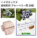 ハイポネックス 錠剤肥料 ブルーベリー用 30錠 肥料 置肥 ブルーベリー タブレット 簡単 錠剤 実付き良くなる 園芸 ガーデニング 置くだけ 植物元気 園芸用品 農業資材 農業用品 ガーデニング用品 ガーデン ブルーベリー