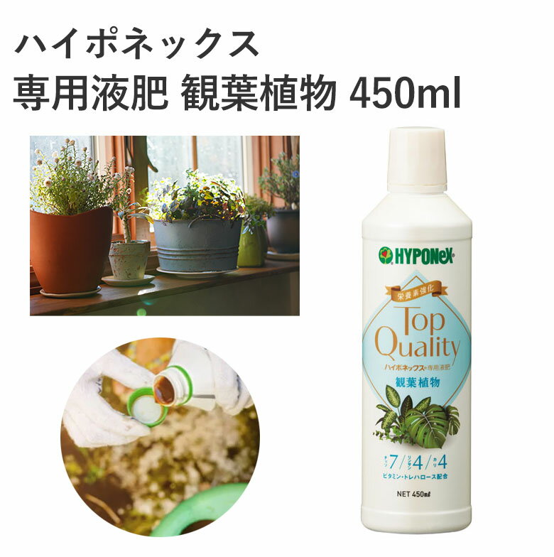 ハイポネックス 専用液肥 観葉植物 450ml 肥料 液体肥料 うすめて使用 高品質 葉面吸収 園芸 ガーデニング 園芸用品 農業資材 農業用品 ガーデニング用品 観葉植物 液肥 チッソ 窒素 ビタミン