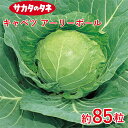 キャベツ アーリーボール 約85粒 サカタ交配 家庭菜園 野菜 種 種子 ガーデニング 栽培 農業 野菜作り 野菜 おすすめ サラダ タキイ タキイのタネ 通販 春 夏 秋 冬