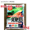 野菜全般用 一発肥料 5kg セントラルグリーン株式会社 肥料 農業 園芸 菜園 野菜 元肥 ガーデニング