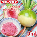 ダイコン・紅心大根(長安青丸紅心)9ml 花壇 生育旺盛 大根 混合種子 種子 種 栽培 通販 タキイ
