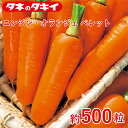 ニンジン・オランジェ ペレット 約 500 粒 花壇 生育旺盛 人参 ニンジン 混合種子 種子 種 栽培 通販 タキイ