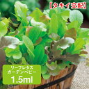 リーフレタス ガーデンベビー 1.5ml 家庭菜園 野菜 種 種子 種まき レタス れたす チシャ 栽培 農業 野菜作り 野菜 おすすめ タキイ 通販 作りやすい