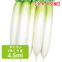 ダイコン YRくらま タキイ交配 4.5ml 家庭菜園 野菜 種 種子 種まき だいこん 大根 栽培 農業 野菜作り 野菜 おすすめ タキイ 通販 作りやすい 冬どり 秋どり