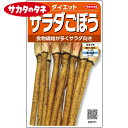 サラダゴボウ ダイエット 約 250粒 サカタ交配 花壇 生育旺盛 大根 混合種子 種子 種 栽培 通販 サカタ