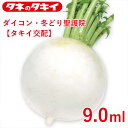 ダイコン・冬どり聖護院 9.0ml タキイ交配 花壇 生育旺盛 大根 混合種子 種子 種 栽培 通販 タキイ