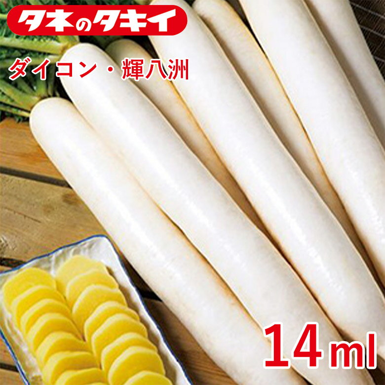 ダイコン・輝八洲 14ml タキイ交配 花壇 生育旺盛 大根 混合種子 種子 種 栽培 通販 タキイ