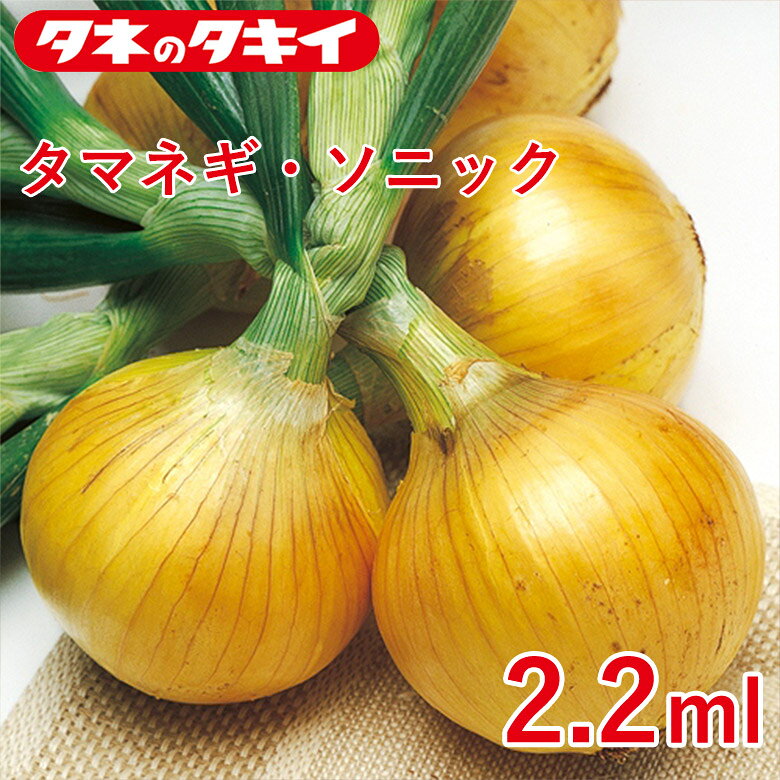 タマネギ・ソニック 2.2 ml タキイ交配 花壇 生育旺盛 玉ねぎ 混合種子 種子 種 栽培 通販 タキイ