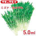 ミズナ・京みぞれ 5.0 ml タキイ交配 花壇 生育旺盛 ミズナ 混合種子 種子 種 栽培 通販 タキイ