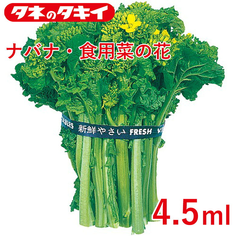 商品名 ナバナ・食用菜の花 4.5ml 学名 Brassica rapa 和名 菜の花 開花時期 発芽適温：15〜25℃ 生育適温 20℃前後 発芽日数：3〜5日 特徴 晩夏～秋まきで短期にトウが立って収穫でき、作りやすい。苦みの少ない黄葉系で、菜の花漬として利用される。また、観賞用としても利用できる。 日当たり・置き場所 日当たりと風通しの良い場所 水やり 1週間に1回程度を目安に水やりをしてください。 夏の暑い時期には、水やりの頻度を1日1～2回に増やすことを計画してください。 夏の終わりから秋にかけての収穫期には、水やりの回数を1週間に1回程度に減らしてください。 肥料 畑への直まきが普通ですが、育苗後移植栽培も可能です。1平方メートル当たり苦土石灰は2握り（約100g）、堆肥は約2kg、化成肥料（N：P：K＝8：8：8）は2握り（約100g）とします。 病気と害虫 病気は立枯病、白さび病、菌核病などが発生しますが、早期発見と早期防除が肝要です。害虫はアブラムシ、コナガ、アオムシなどです。背が低い時は防虫ネットをトンネル状にかけて防ぎます。背が高くなってきてからは薬剤を散布しますが、収穫の1週間前までとします。商品名 ナバナ・食用菜の花 4.5ml 学名 Brassica rapa 和名 菜の花 開花時期 発芽適温：15〜25℃ 生育適温 20℃前後 発芽日数：3〜5日 特徴 晩夏～秋まきで短期にトウが立って収穫でき、作りやすい。苦みの少ない黄葉系で、菜の花漬として利用される。また、観賞用としても利用できる。 日当たり・置き場所 日当たりと風通しの良い場所 水やり 1週間に1回程度を目安に水やりをしてください。 夏の暑い時期には、水やりの頻度を1日1～2回に増やすことを計画してください。 夏の終わりから秋にかけての収穫期には、水やりの回数を1週間に1回程度に減らしてください。 肥料 畑への直まきが普通ですが、育苗後移植栽培も可能です。1平方メートル当たり苦土石灰は2握り（約100g）、堆肥は約2kg、化成肥料（N：P：K＝8：8：8）は2握り（約100g）とします。 病気と害虫 病気は立枯病、白さび病、菌核病などが発生しますが、早期発見と早期防除が肝要です。害虫はアブラムシ、コナガ、アオムシなどです。背が低い時は防虫ネットをトンネル状にかけて防ぎます。背が高くなってきてからは薬剤を散布しますが、収穫の1週間前までとします。 関連商品 種 花・野菜の商品一覧はこちら⇒