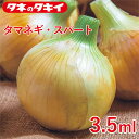 タマネギ・スパート 3.5ml タキイ交配 花壇 生育旺盛 タマネギ 玉ねぎ 混合種子 種子 種 栽培 通販 タキイ
