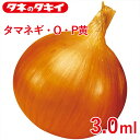 タマネギ・O・P黄 3.0ml タキイ交配 花壇 生育旺盛 タマネギ 玉ねぎ 混合種子 種子 種 栽培 通販 タキイ