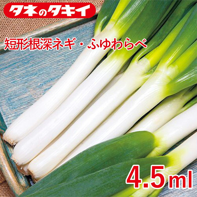 Other - 短形根深ネギ・ふゆわらべ 4.5ml タキイ交配 花壇 生育旺盛 混合種子 種子 種 栽培 通販 タキイ