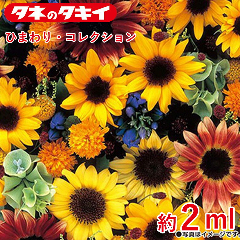 ひまわり・コレクション 約 2ml 種 種子 タキイ交配 栽培 野菜 家庭菜園