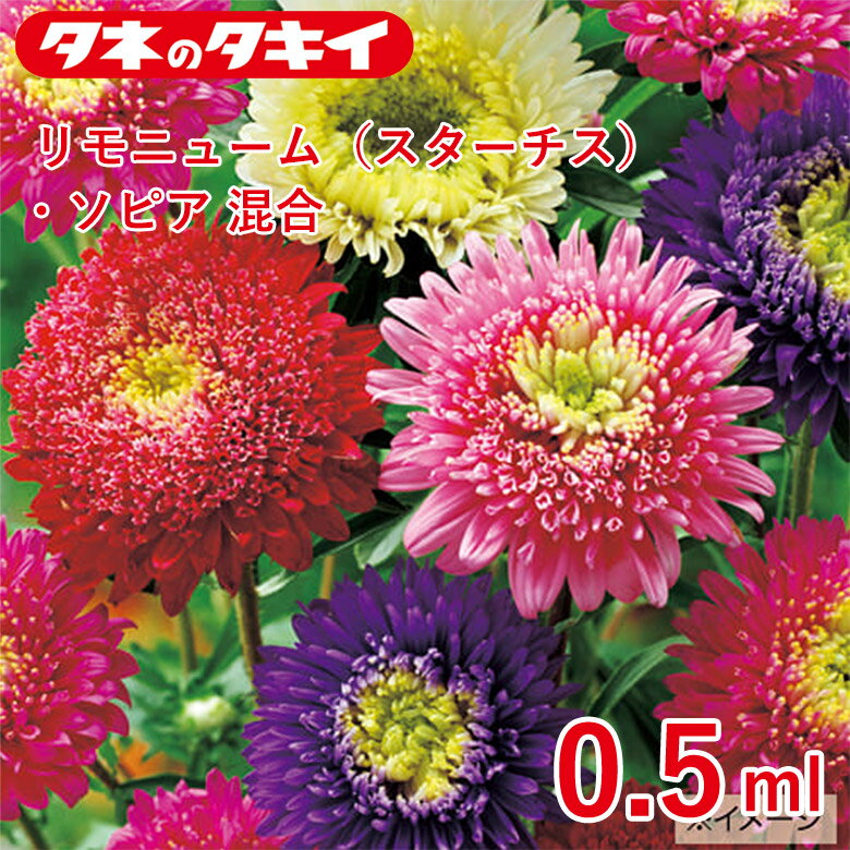 Rakuten - タキイ アスター・プリンセス混合 0.5mlタキイ交配 花壇 瑠璃唐草 生育旺盛 混合種子 種子 栽培 通販
