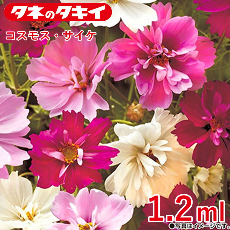 �����⥹�������� 1.2ml �� ��� ���������� ���� ��� �����ڱ�