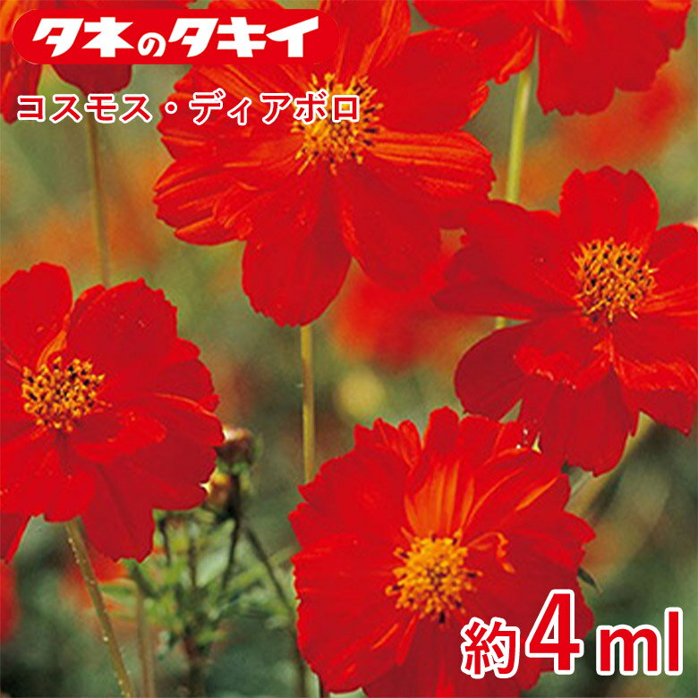 Rakuten - コスモス・ディアボロ 約 4ml 種 種子 タキイ交配 栽培 野菜 家庭菜園