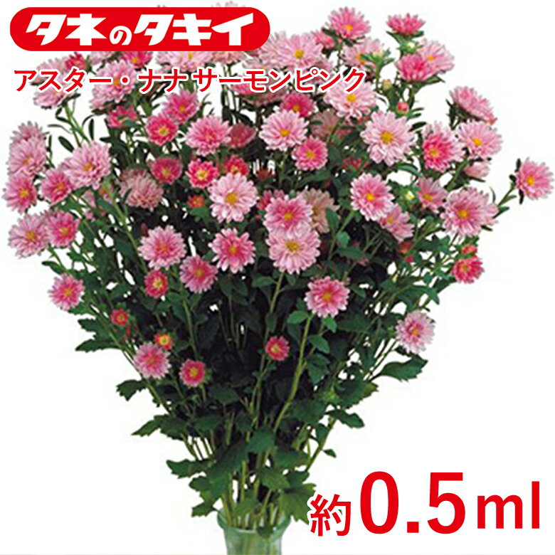 Rakuten - アスター・ナナ　サーモンピンク 約0.5ml 種 種子 タキイ交配 栽培 野菜 家庭菜園