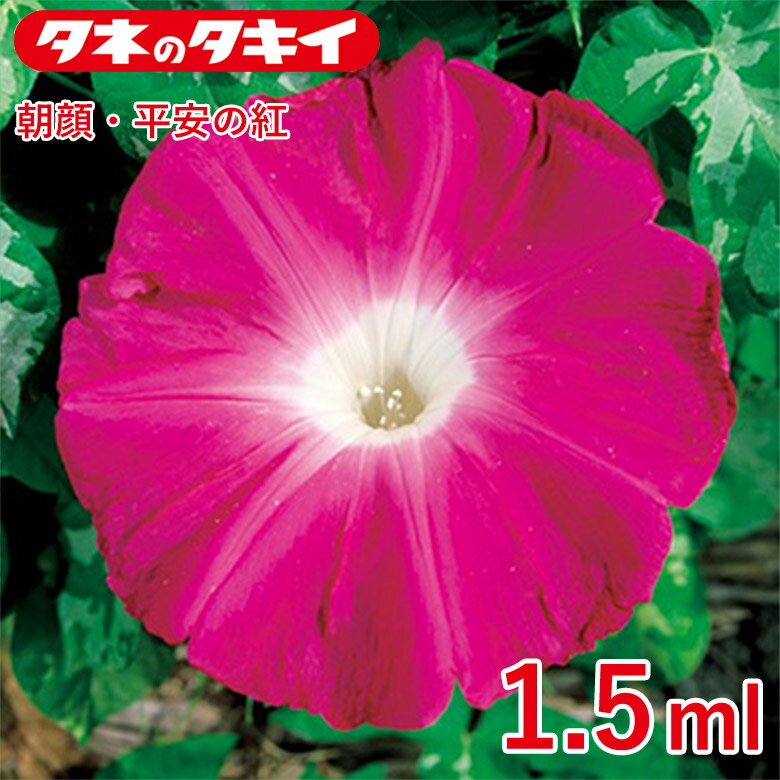 朝顔・平安の紅 1,5ml 種 種子 タキイ交配 栽培 野菜 家庭菜園