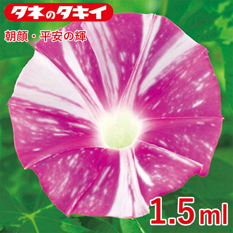 Rakuten - 朝顔・平安の輝　1,5ml 種 種子 タキイ交配 栽培 野菜 家庭菜園