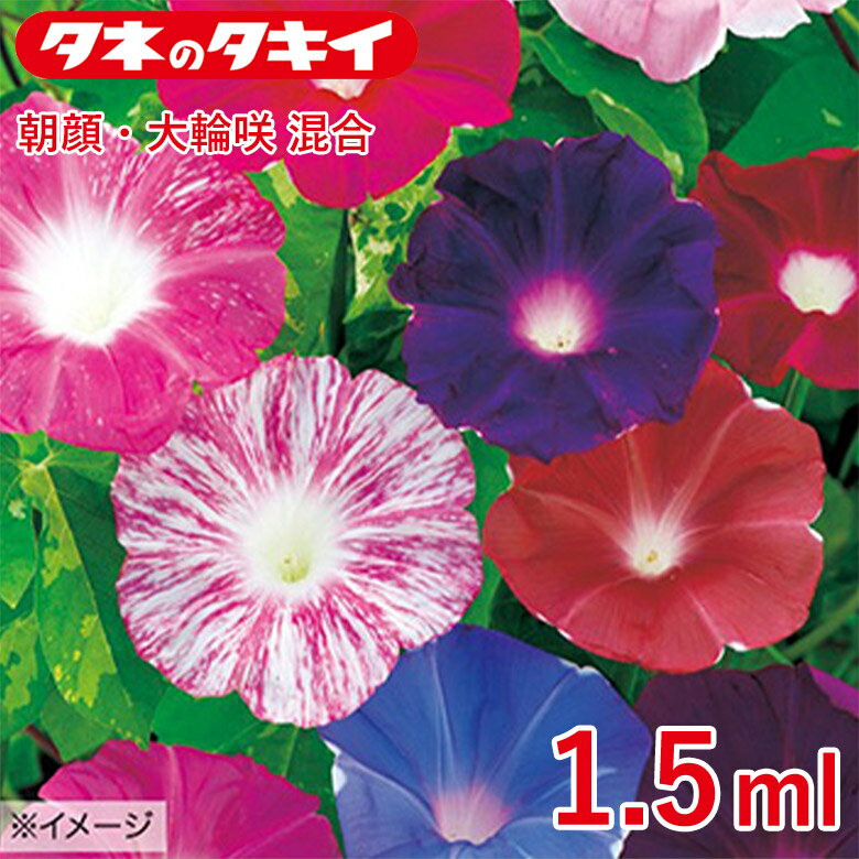 朝顔・大輪咲混合 1.5ml 種 種子 タキイ交配 栽培 野菜 家庭菜園