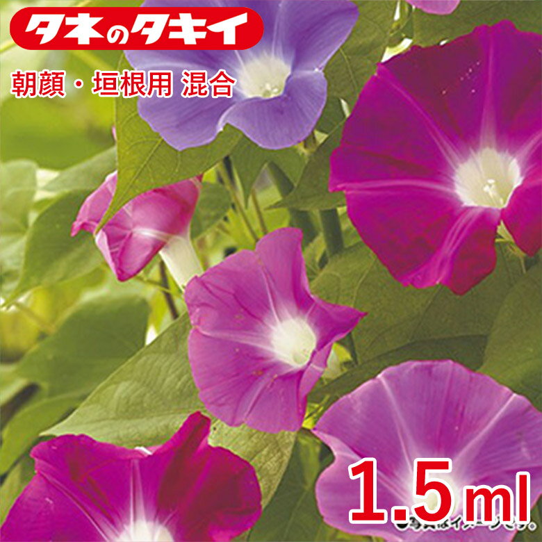 Other - 朝顔・垣根用混合 1.5ml 種 種子 タキイ交配 栽培 野菜 家庭菜園