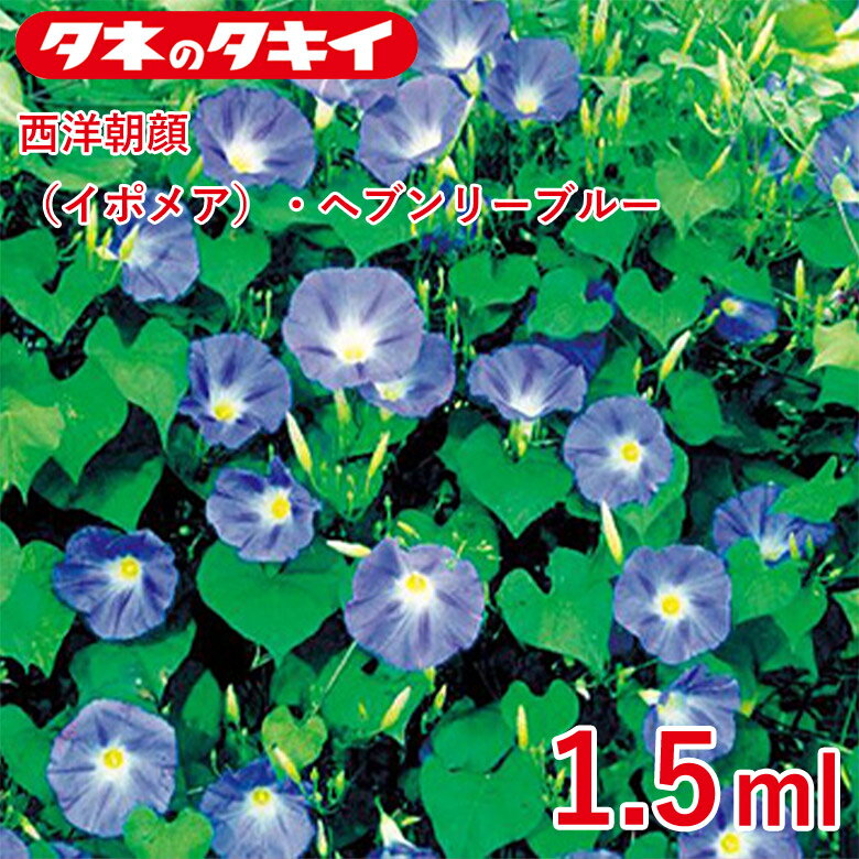 Rakuten - 西洋朝顔・ヘブンリーブルー 1.5ml 種 種子 タキイ交配 栽培 野菜 家庭菜園