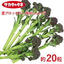 茎ブロッコリー 紫セニョーラ 約20粒 ブロッコリー 種 種子 サカタ交配 栽培 野菜 家庭菜園