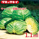 キャベツ・初夏のかほり 1.1mlタキイ交配 花壇 生育旺盛 混合種子 種子 種 栽培 通販 タキイ