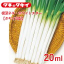根深ネギ・ホワイトスター【タキイ交配】20ml 家庭菜園 野菜 種 種子 ガーデニング 栽培 農業 野菜作り 野菜 おすすめ 通販 タキイ 葱 ねぎ ネギ 根深ねぎ