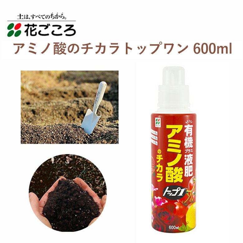 商品名 花ごころ 有機プラス液肥トップワン 600ml サイズ/丈 600ml 特徴 ・栄養価の高いアミノ酸を多く含みます ・肥料成分が土に残りやすいので、肥料効果が高くなります ・太い根が伸び、細い根が密生するので、根の張りが良くなります ・効果は7～10日後から、ゆっくり現れます 【肥料成分】チッソ(N)1: リンサン(P)1: カリ(K)1商品名 花ごころ 有機プラス液肥トップワン 600ml サイズ/丈 600ml 特徴 ・栄養価の高いアミノ酸を多く含みます ・肥料成分が土に残りやすいので、肥料効果が高くなります ・太い根が伸び、細い根が密生するので、根の張りが良くなります ・効果は7～10日後から、ゆっくり現れます 【肥料成分】チッソ(N)1: リンサン(P)1: カリ(K)1 関連商品 用土・肥料・農薬の商品一覧はこちら⇒