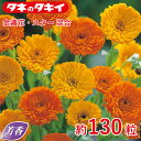 芳香 金盞花・スター 混合 約130粒 種子 種 栽培 通販 タキイ