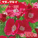 タキイ ゴデチャ・旭盃 約350粒 タキイ交配 花壇 瑠璃唐草 生育旺盛 混合種子 種子 栽培 通販