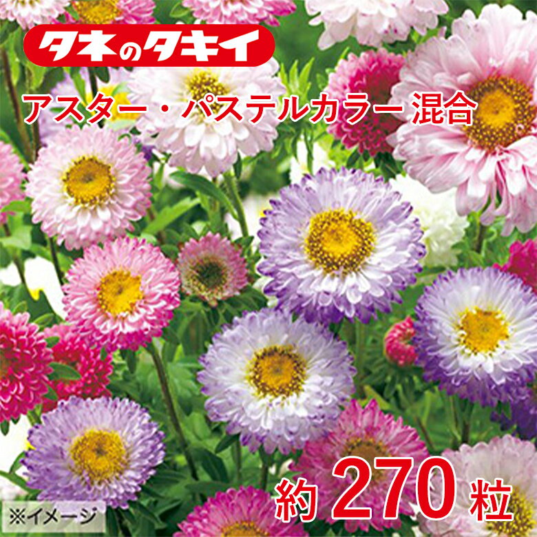 Rakuten - アスター・パステルカラー 混合 約270粒