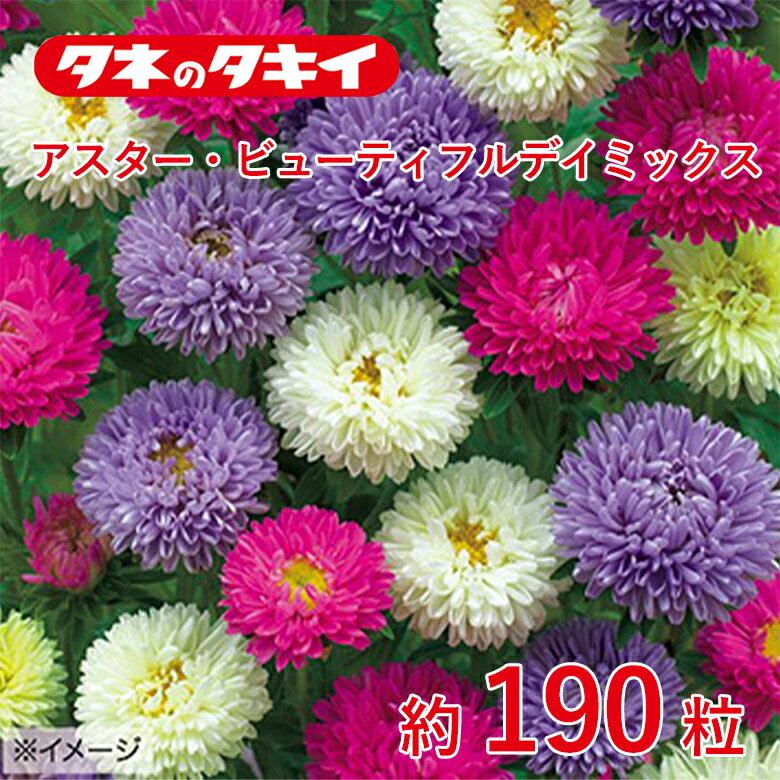 Rakuten - アスター・ビューティフルデイ ミックス 約190粒