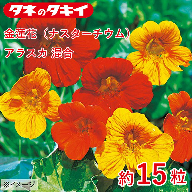 Rakuten - 金蓮花（ナスターチウム）・アラスカ 混合　約15粒