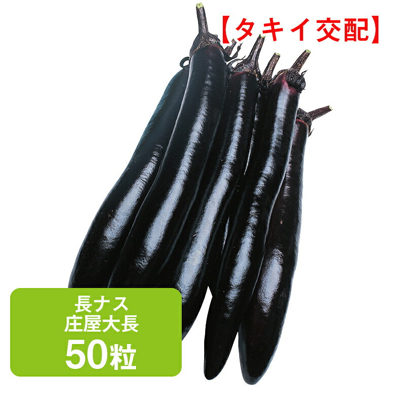 Rakuten - 長ナス 庄屋大長 タキイ交配 50粒 ナス ナスビ なすび 茄 茄子 タキイ 種 多収 野菜 おいしい 美味しい 種子 栽培 家庭菜園