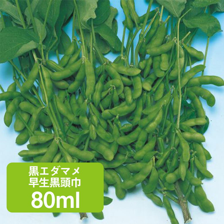 Rakuten - 黒エダマメ 早生黒頭巾 80ml 家庭菜園 野菜 種 種子 ガーデニング 栽培 農業 野菜作り 野菜 おすすめ 通販 豆 大豆 枝豆 えだまめ 黒