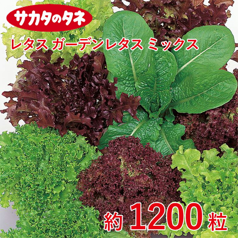 レタス ガーデンレタス ミックス 約1200粒