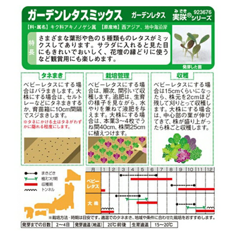 レタス ガーデンレタス ミックス 約1200粒