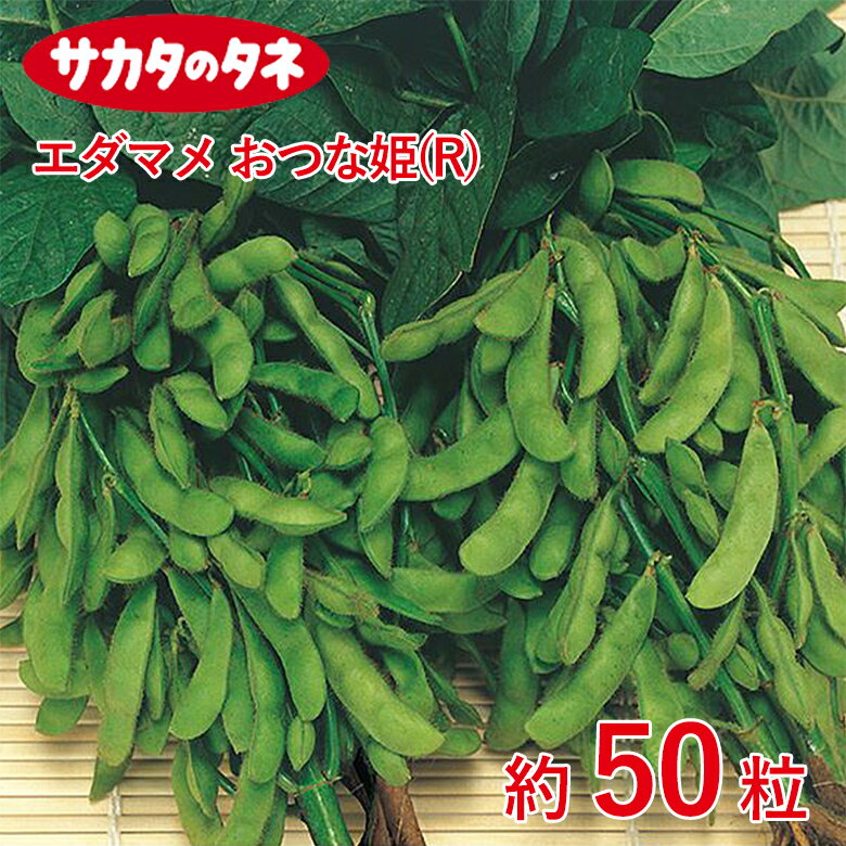 Rakuten - エダマメ おつな姫(R) 約50粒