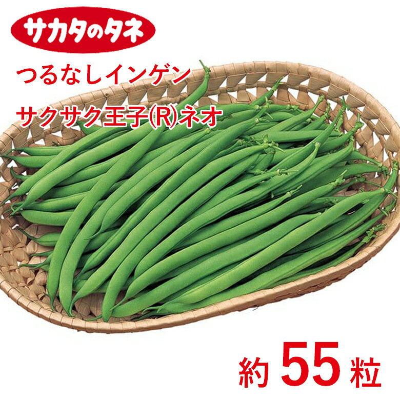 Rakuten - つるなしインゲン サクサク王子（R）ネオ 約55粒